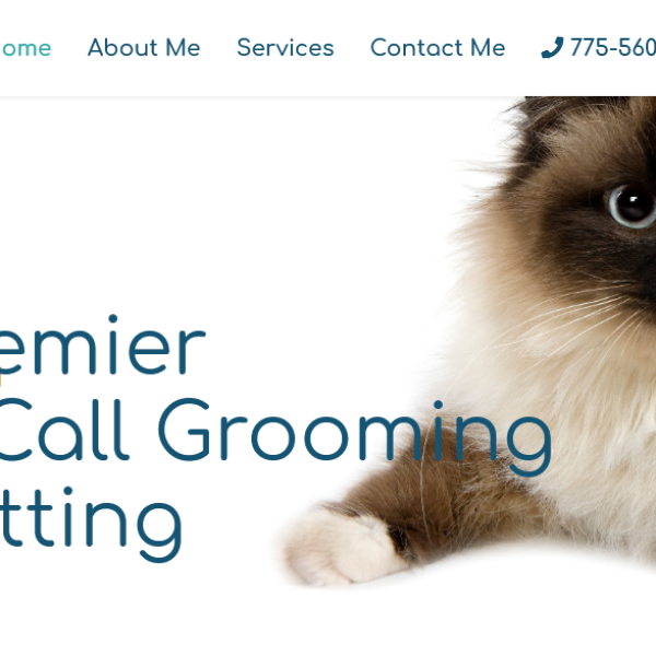 Cat Grooming House Call
